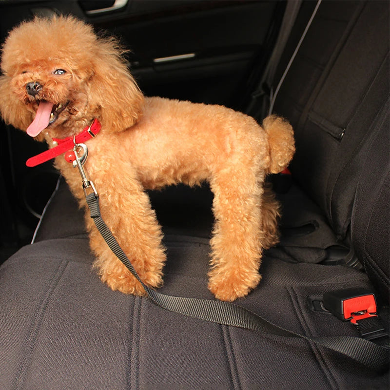 Dog Car Seatbelt Leash – Retractable Safety Tether for Pets